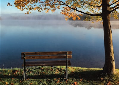 Bench in the fall